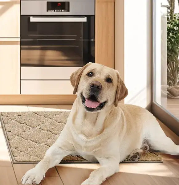 Trellis Washable Absorbent Kitchen Mats for Various Floor