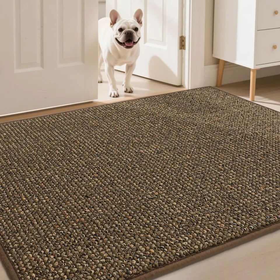 Dog ready into room by a textured rug in a home setting