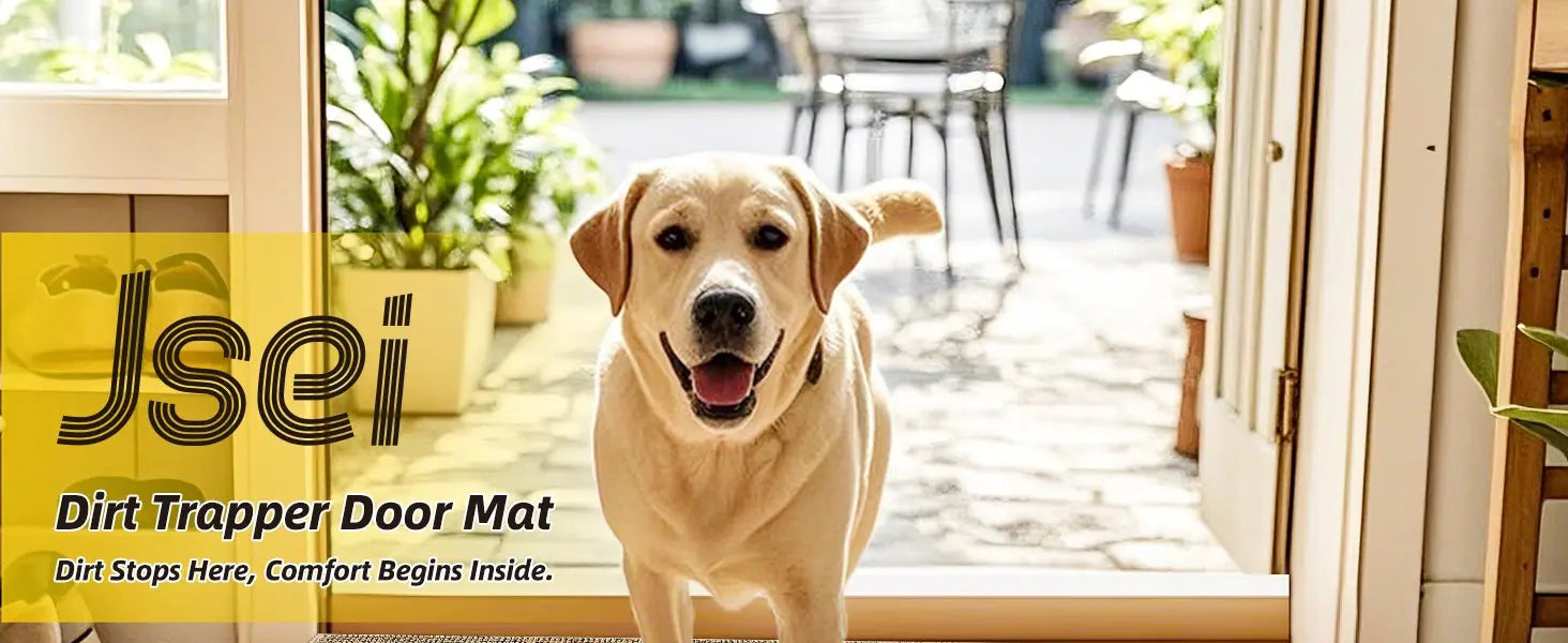 Dog Go Back Home through Jsei Plain Dirt Trapper Door Mats