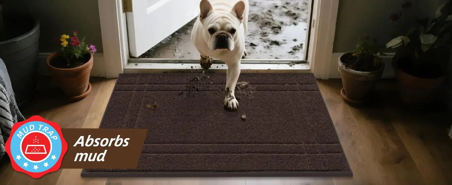 Double Bordered Muddy Mat Absorbs Mud