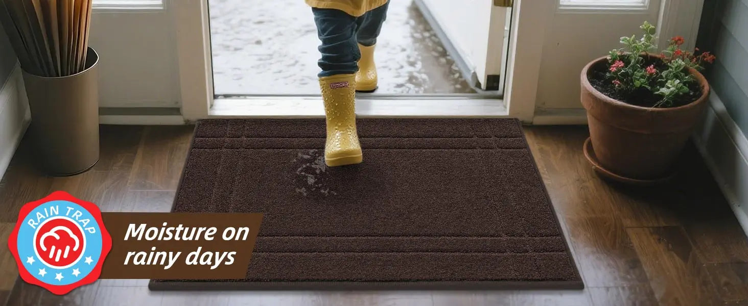 Double Bordered Muddy Mat Moisture on Rainy Days