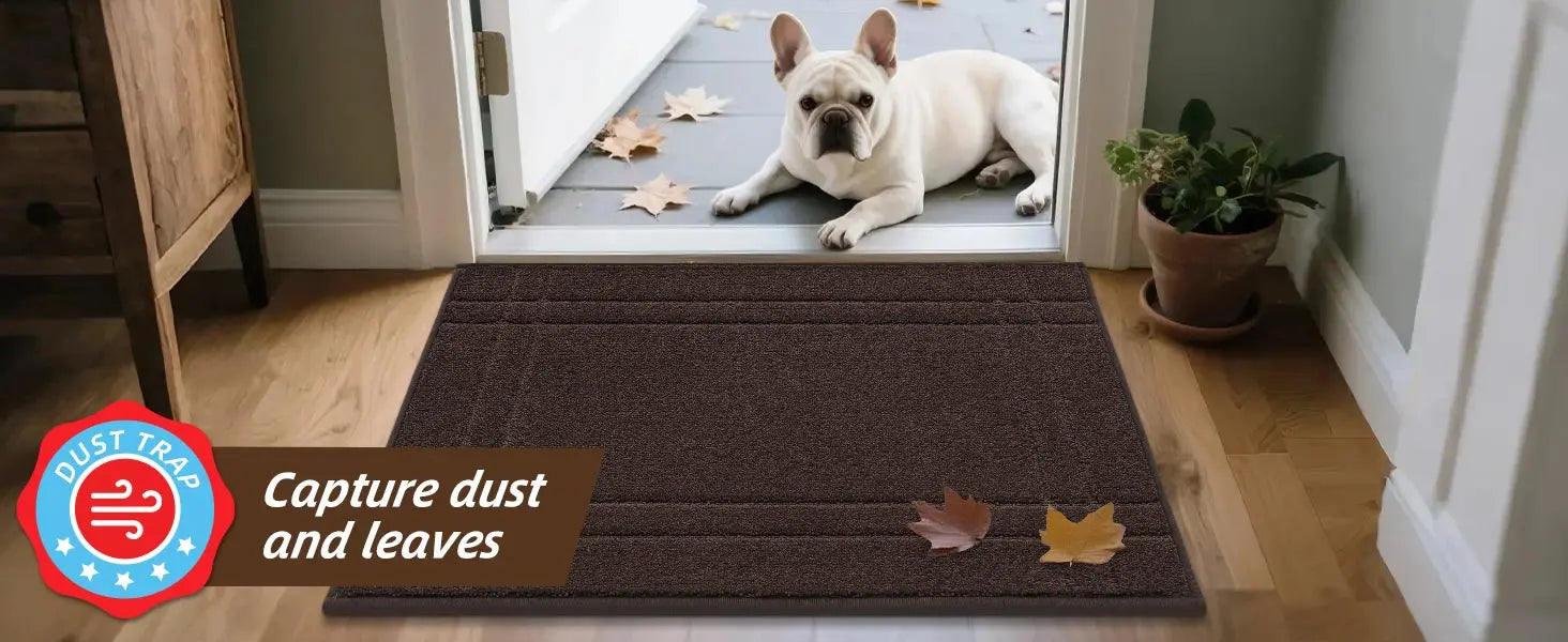 Double Bordered Muddy Mat could Capture Dust and Leaves