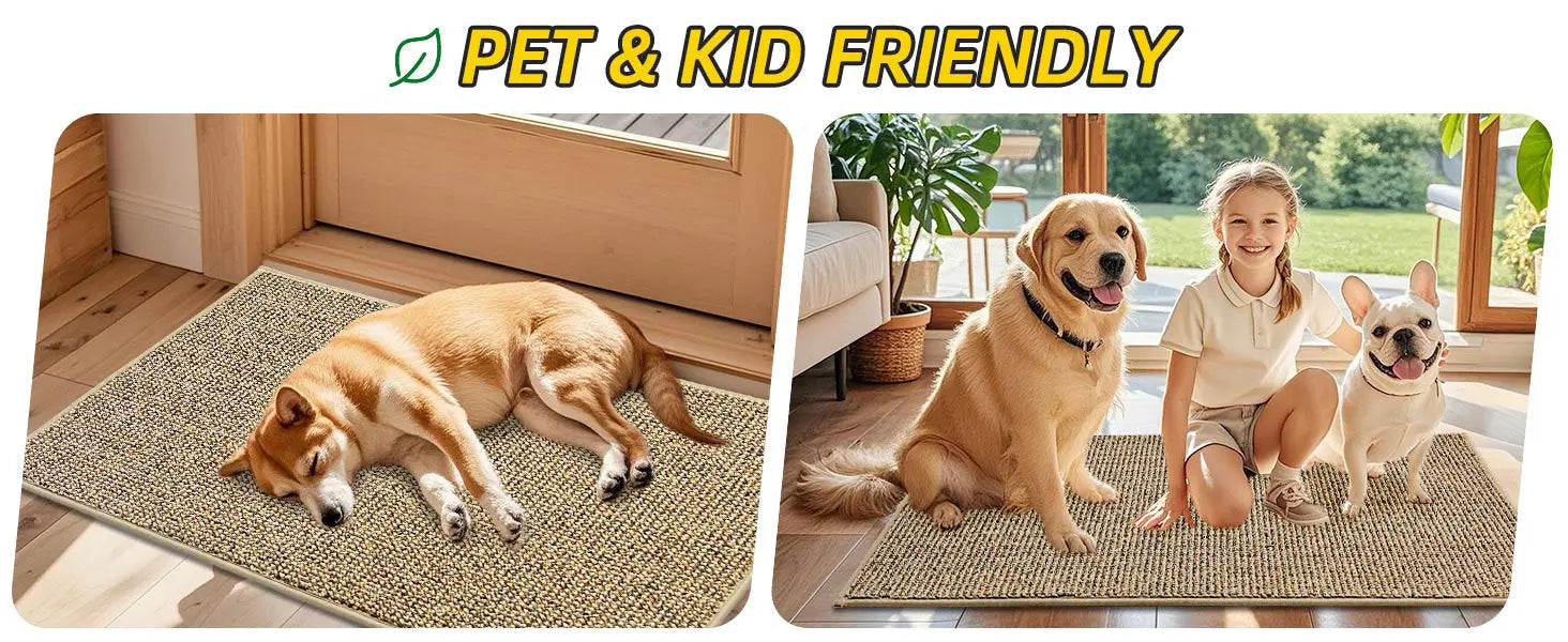Plain Dirt Trapper Door Mats Which is Pet Kid Friendly